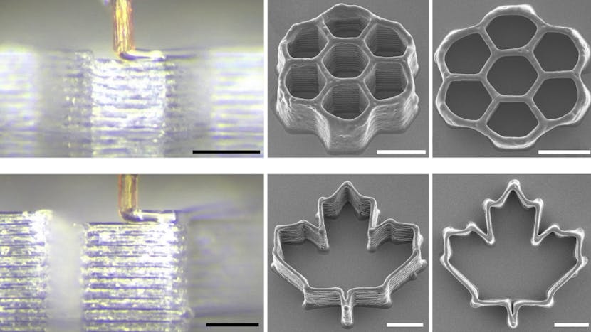 Engineers Harness Mosquito Mouthpart for Ultra-Fine 3D Printing - additional image 1